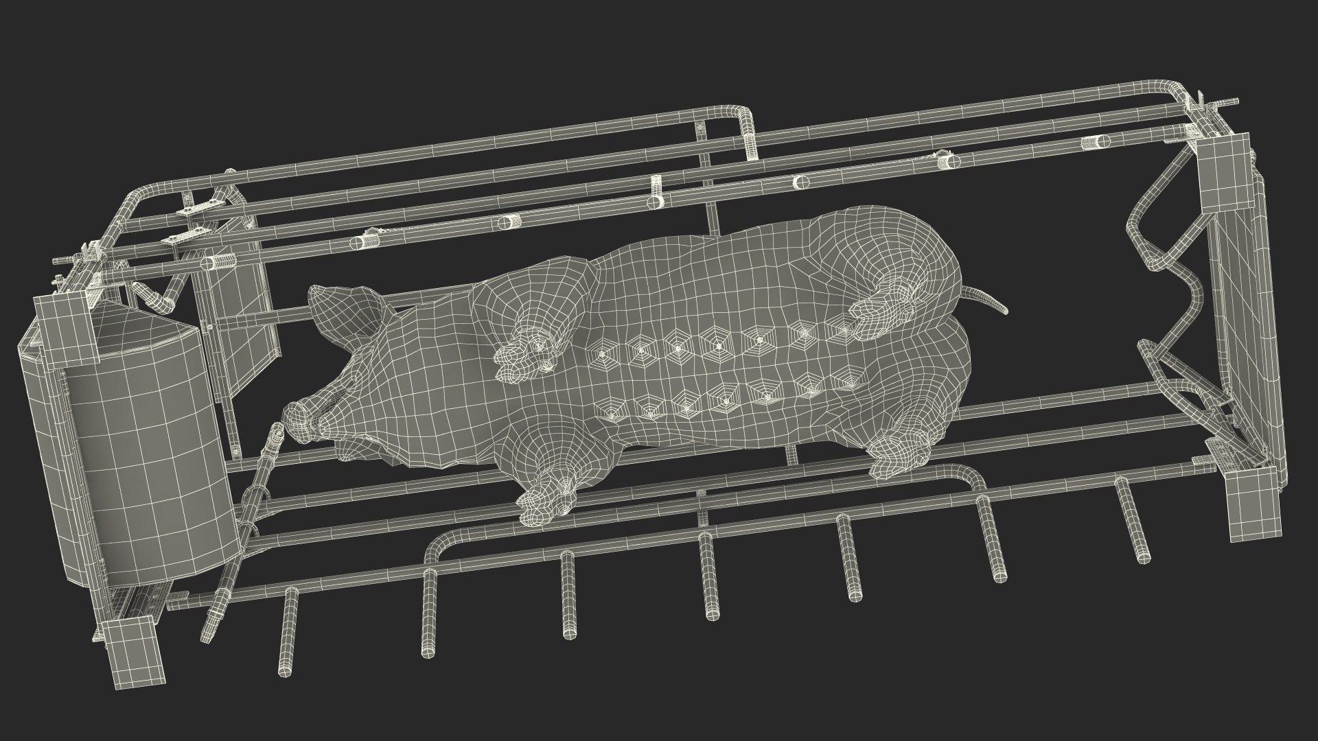 3D Pig in Farrowing Crate model https://p.turbosquid.com/ts-thumb/PO/rKkloj/FN/piginfarrowingcrate3dsmodel032/jpg/1682694273/1920x1080/fit_q87/d186727aa8032a5b190f5a11b4eb83bce5226f2d/piginfarrowingcrate3dsmodel032.jpg