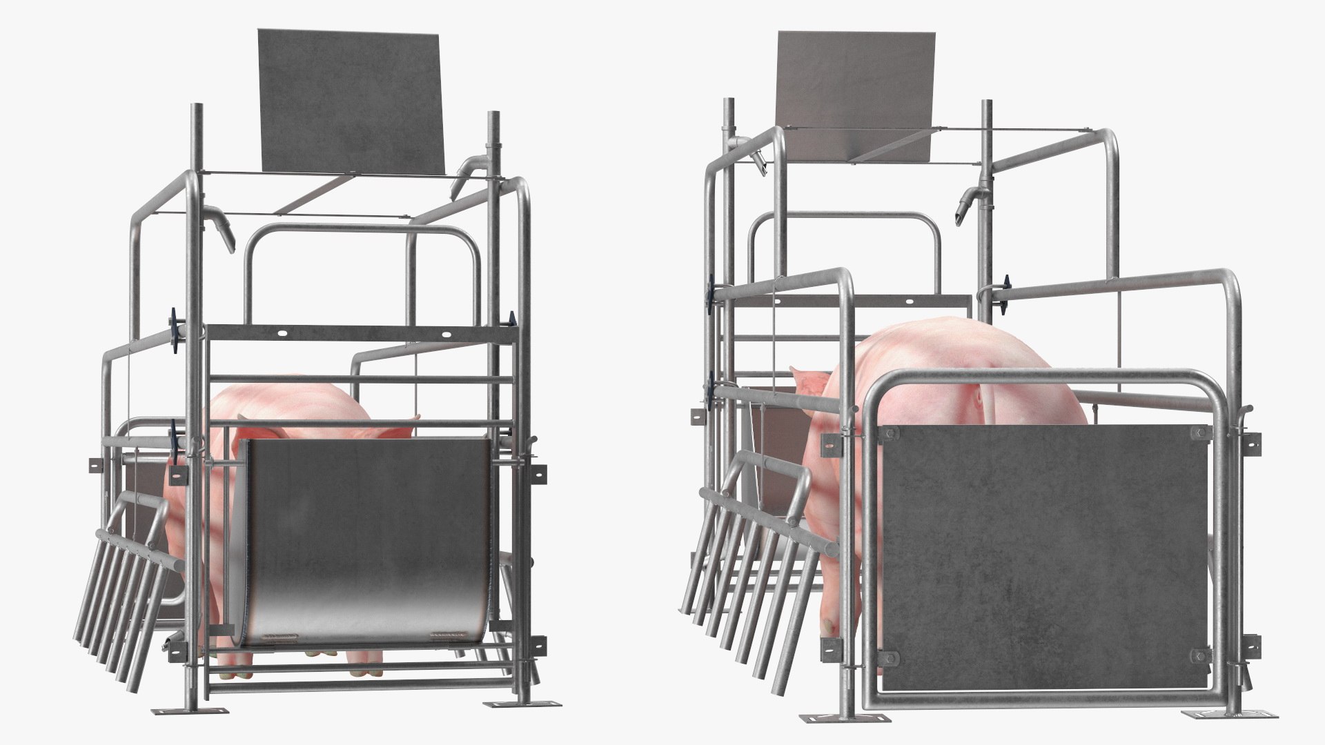 3D Pig in Farrowing Crate model https://p.turbosquid.com/ts-thumb/PO/rKkloj/Tk/piginfarrowingcrate3dsmodel010/jpg/1682694194/1920x1080/fit_q87/18687670580a7c41a2f4ff66d45e618e04f92bf0/piginfarrowingcrate3dsmodel010.jpg