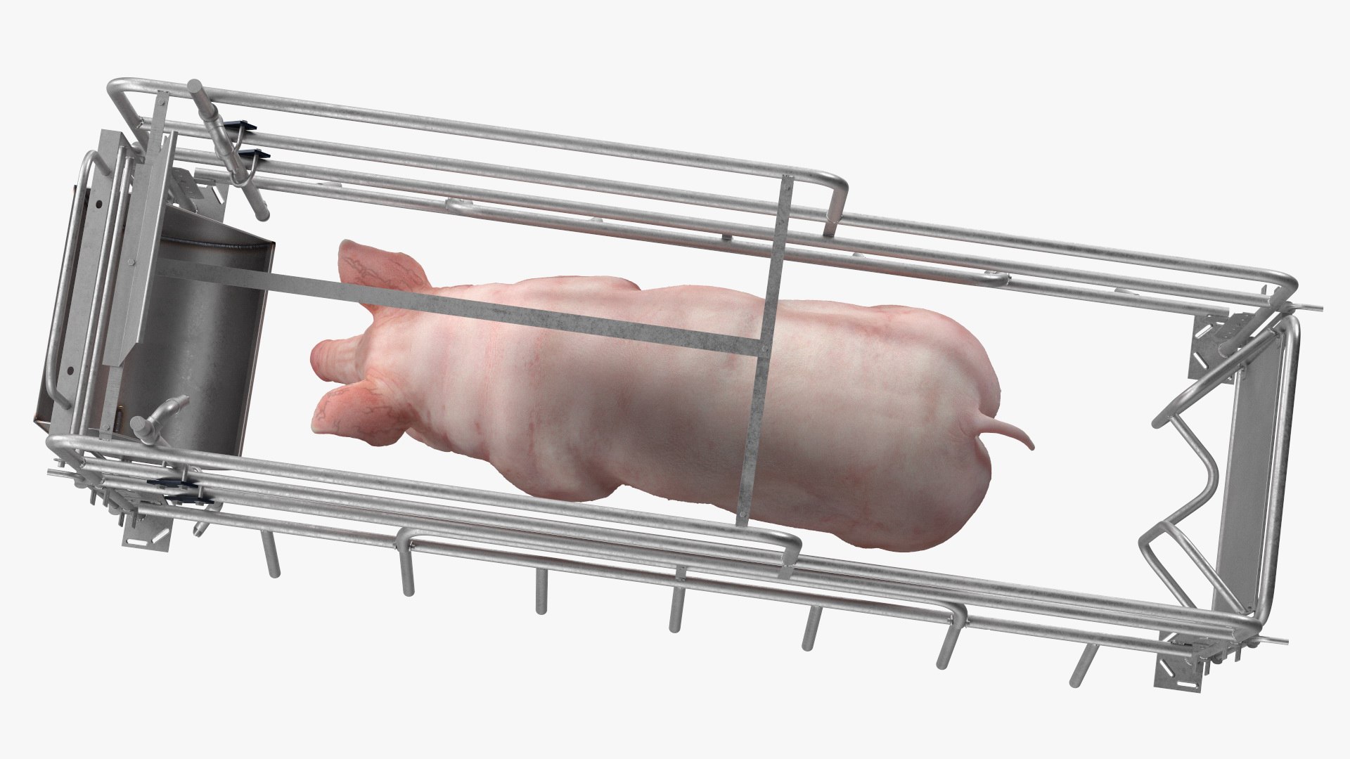 3D Pig in Farrowing Crate model https://p.turbosquid.com/ts-thumb/PO/rKkloj/gL/piginfarrowingcrate3dsmodel011/jpg/1682694198/1920x1080/fit_q87/aaf6e0e6dff9f5562ca7bdc090a2d30a394febb4/piginfarrowingcrate3dsmodel011.jpg