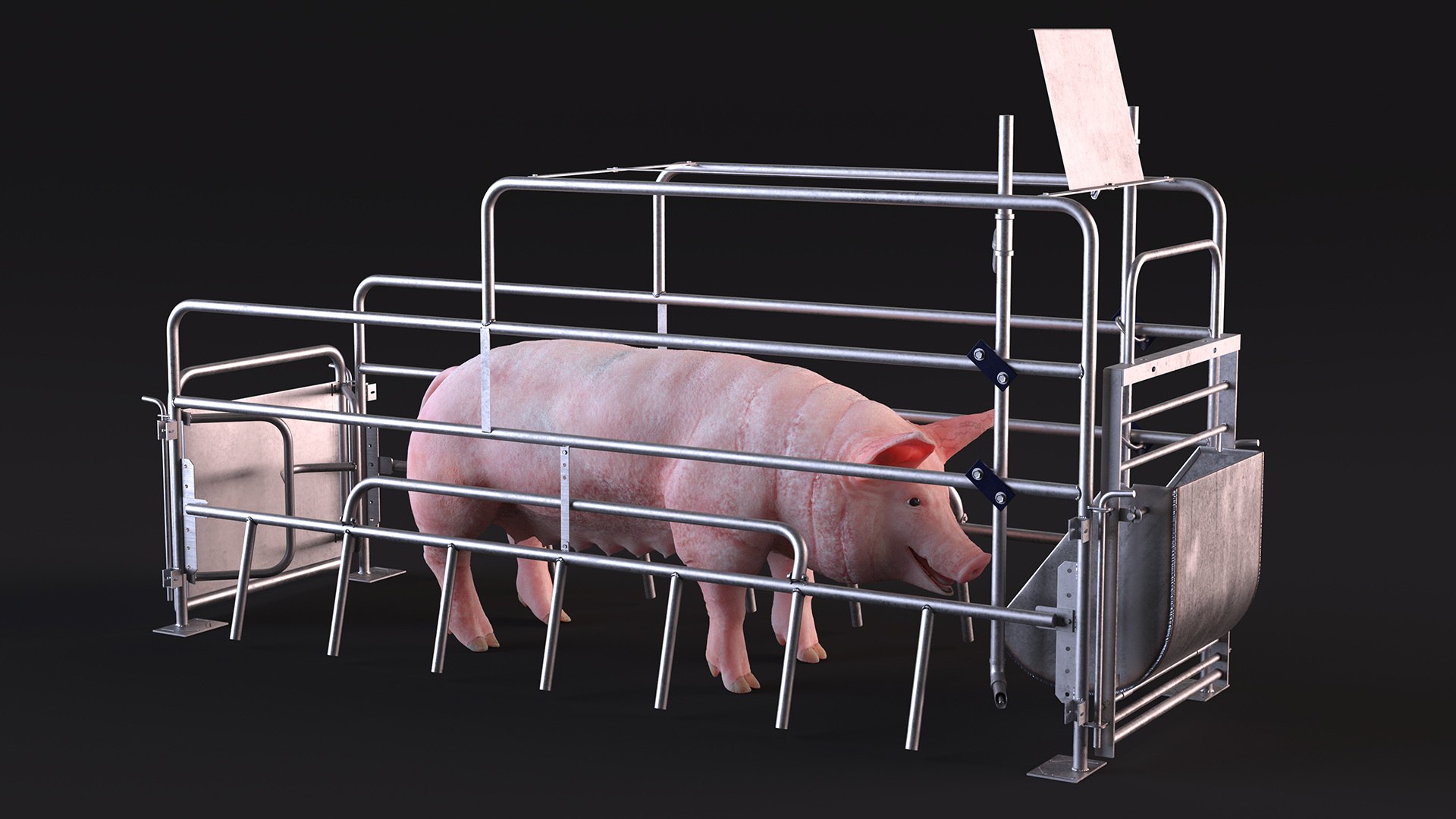 3D Pig in Farrowing Crate model https://p.turbosquid.com/ts-thumb/PO/rKkloj/kh/piginfarrowingcrate3dsmodel006/jpg/1682694177/1920x1080/fit_q87/1987bfb52cb766c4c5f7493dbc12429ff4cf4066/piginfarrowingcrate3dsmodel006.jpg