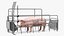 Pig in Farrowing Crate