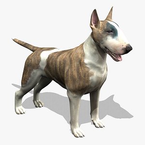 3d model bull terrier