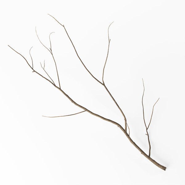 Branch Decoration 3d Model