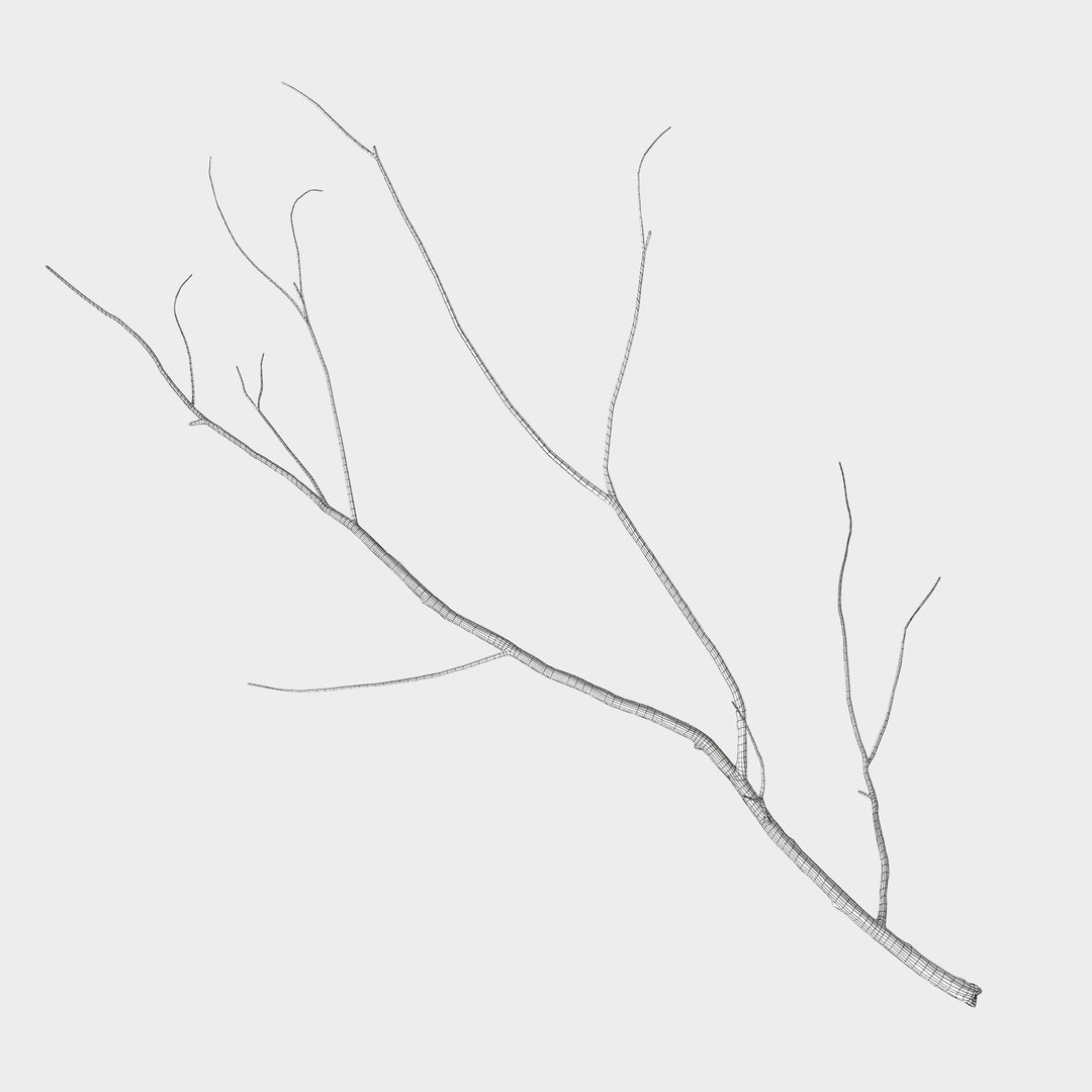 branch 2 max https://p.turbosquid.com/ts-thumb/PP/Spq9dP/GcozHNJA/setka01/jpg/1470222506/1920x1080/fit_q87/9e7d61585a3e917c79acb0cbcc6088ee2f5786ce/setka01.jpg
