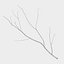 Branch 2