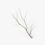 Branch 2