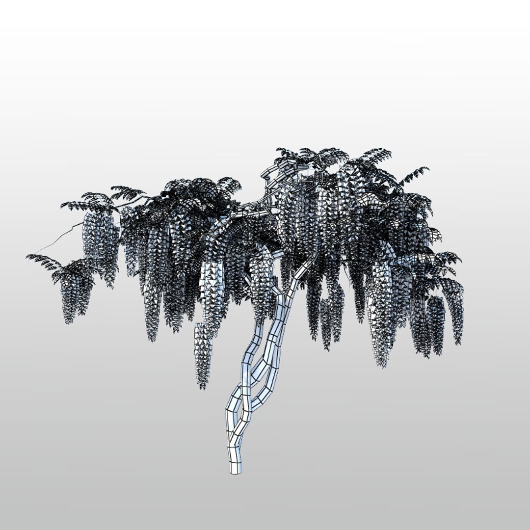 tree flower 3d model https://p.turbosquid.com/ts-thumb/PP/c9C3yW/2mtQ5qJp/wisteria03_1w/jpg/1348445364/1920x1080/fit_q87/6b6e2b8af997918ed8df8aec0db26bd34944018b/wisteria03_1w.jpg