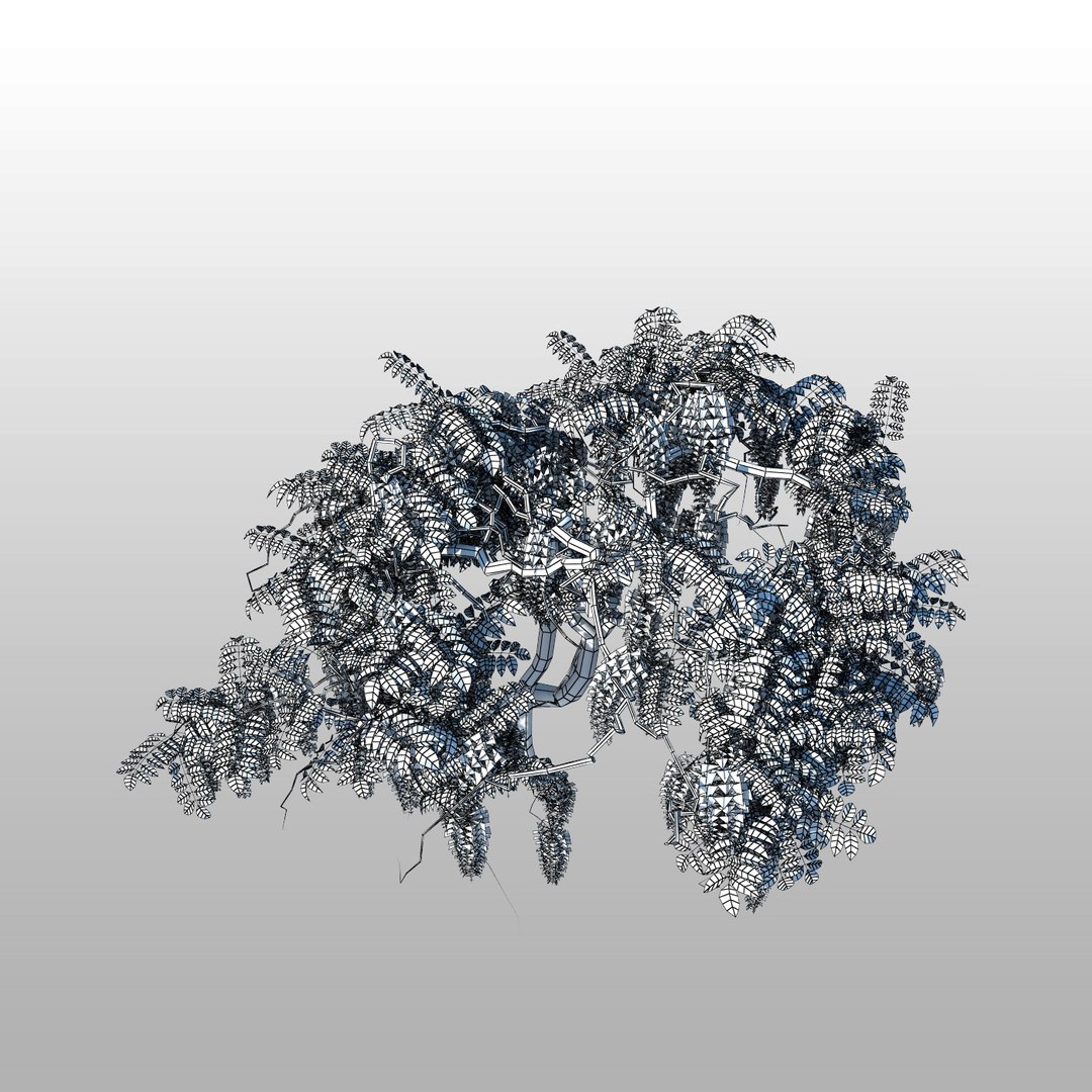 tree flower 3d model https://p.turbosquid.com/ts-thumb/PP/c9C3yW/W34DsGVd/wisteria03_2w/jpg/1348503097/1920x1080/fit_q87/e6dfce97bd6951e656bdc328471f654f6b1972e8/wisteria03_2w.jpg