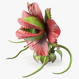 3D model Scary Plant Monster in Pot