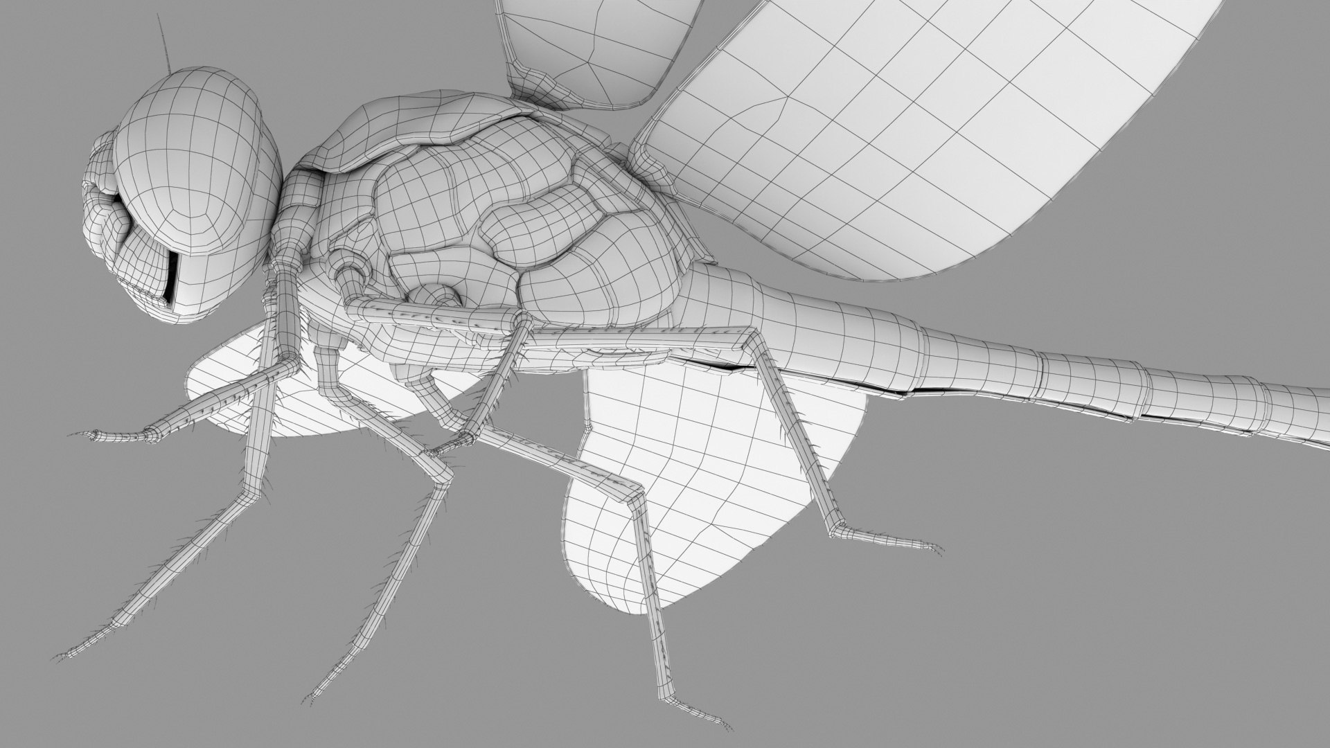 3D Dragonfly Rigged Animated 8K PBR Textures model https://p.turbosquid.com/ts-thumb/PQ/EdaLvo/aM/dragonfly_r_a_wire_08/jpg/1671439479/1920x1080/fit_q87/f545b078f2abe3d6817d878daf1712d5703969dc/dragonfly_r_a_wire_08.jpg