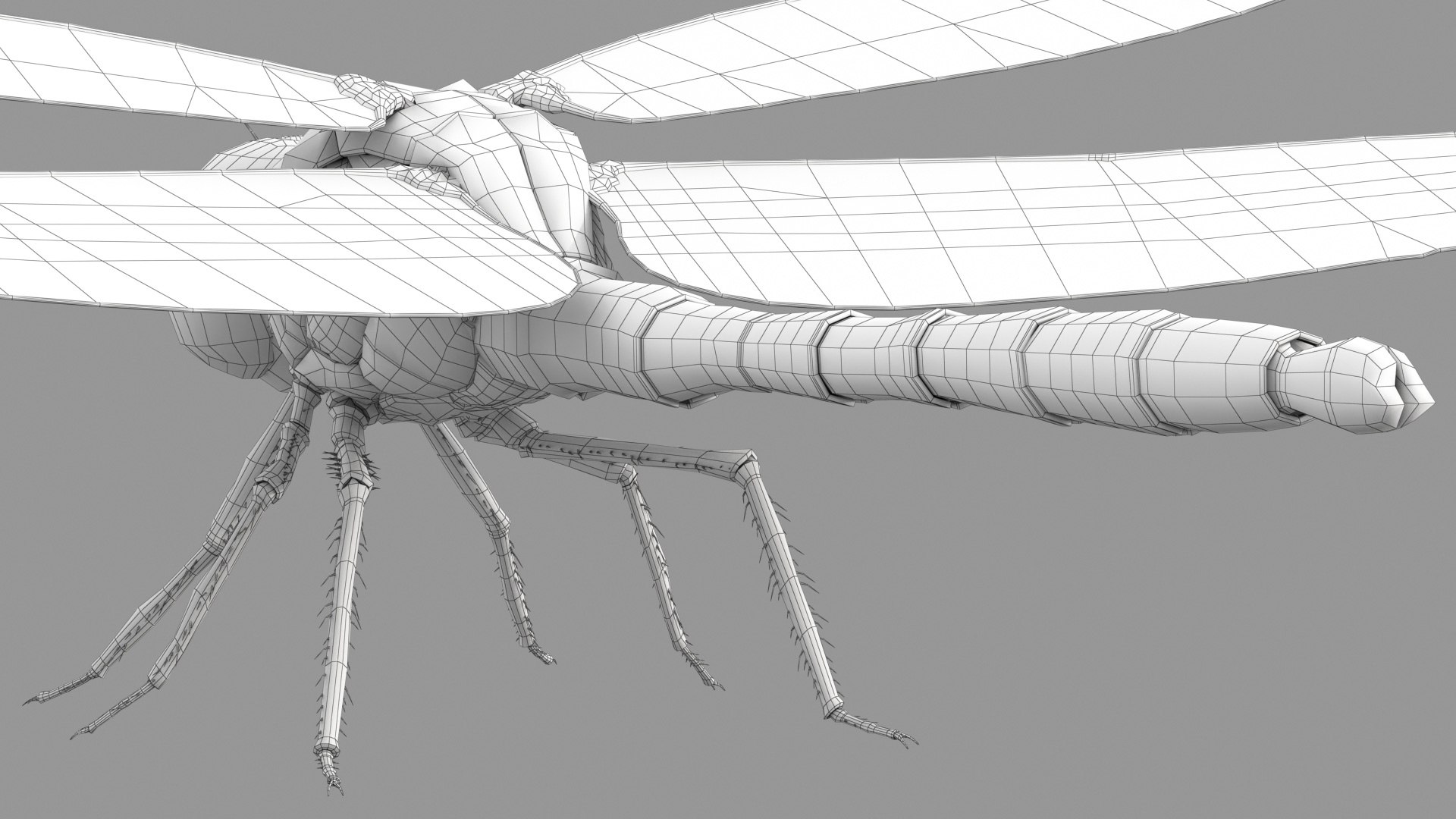 3D Dragonfly Rigged Animated 8K PBR Textures model https://p.turbosquid.com/ts-thumb/PQ/EdaLvo/oo/dragonfly_r_a_wire_02/jpg/1671439456/1920x1080/fit_q87/ff04a2add085f7903dec80c4e894665d272f2aa9/dragonfly_r_a_wire_02.jpg