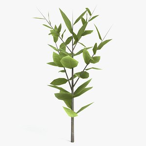 3D stylized small tree model
