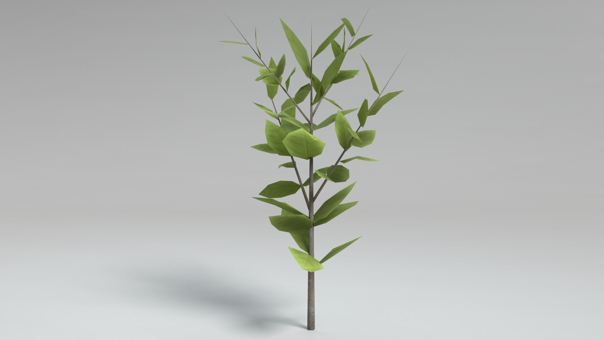 3D Stylized Small Tree Model - TurboSquid 1529938