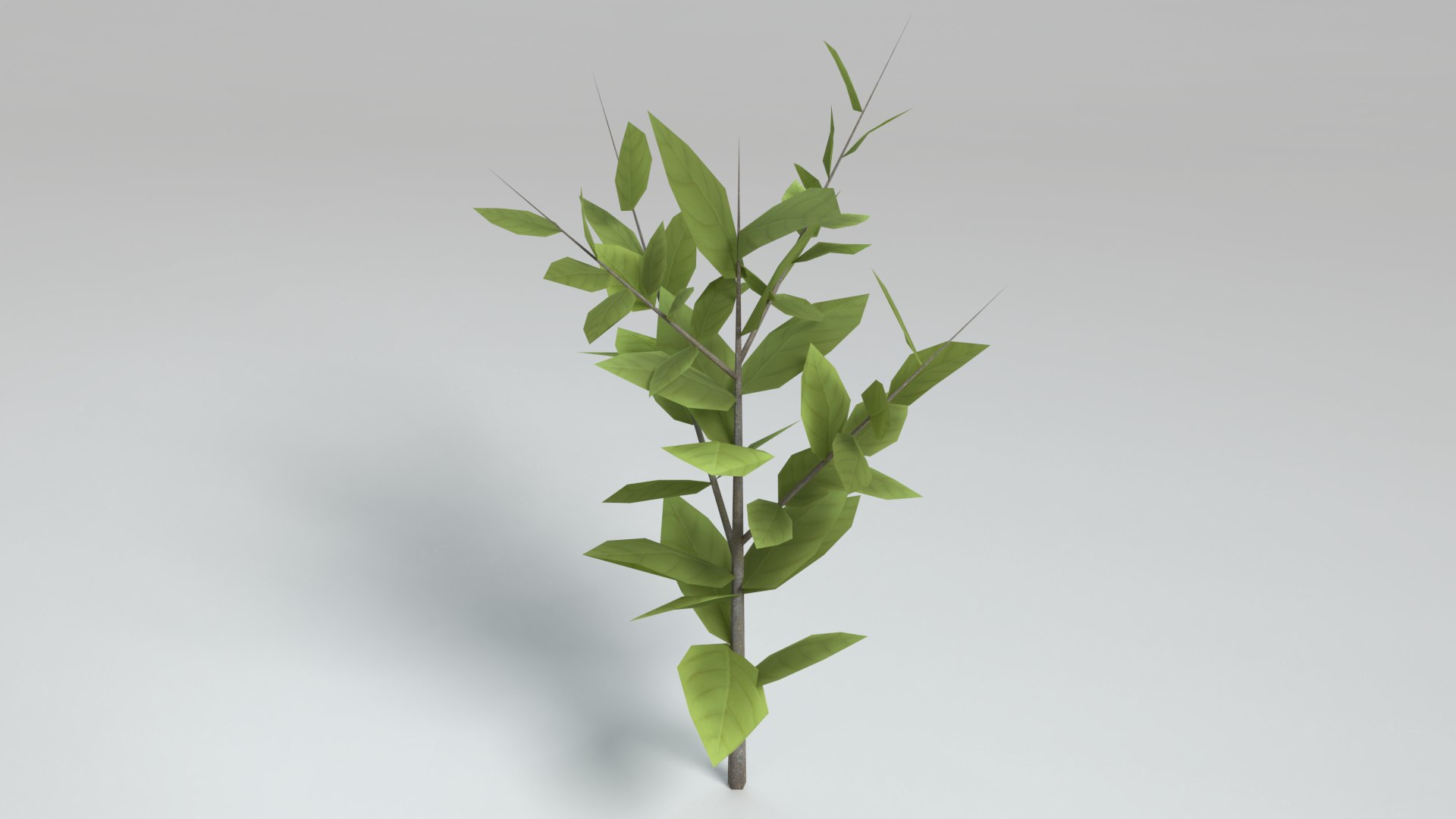 3D Stylized Small Tree Model - TurboSquid 1529938