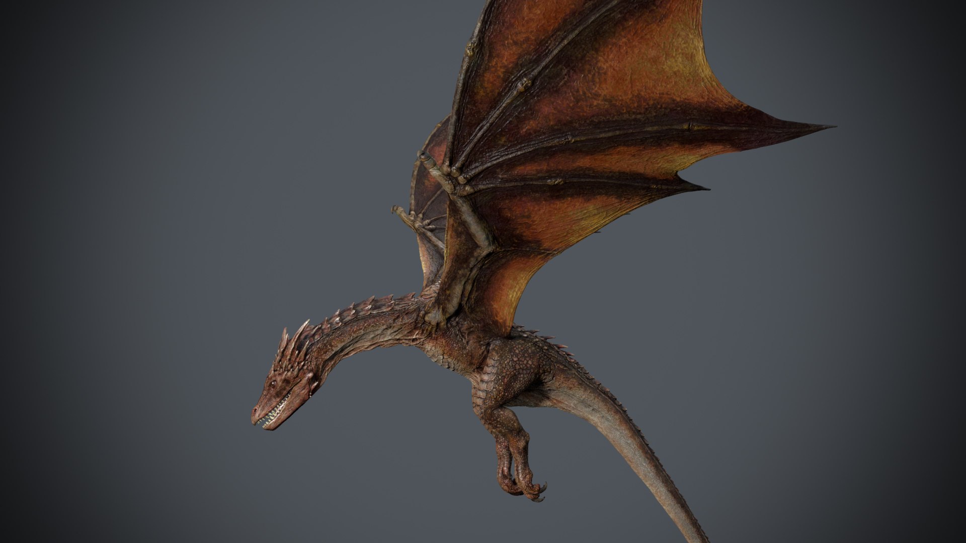 Dragon Animation 3D Model - TurboSquid 1305477