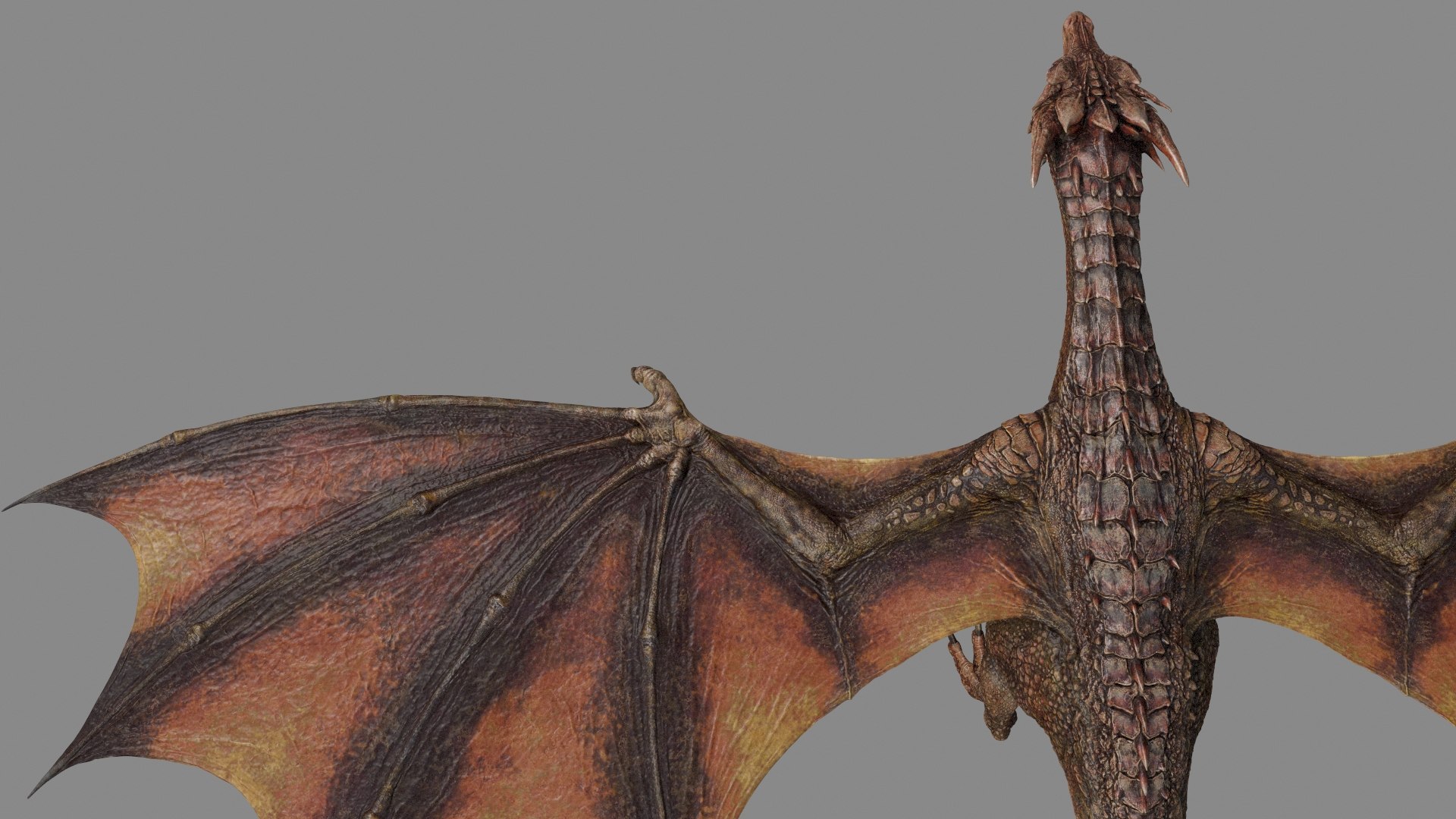 Dragon Animation 3D Model - TurboSquid 1305477