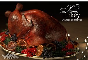 3D Turkey Oranges and Berries model