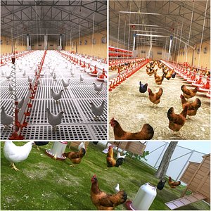 Chicken Farm Collection