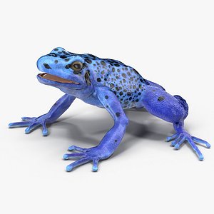 3d poison dart frog blue