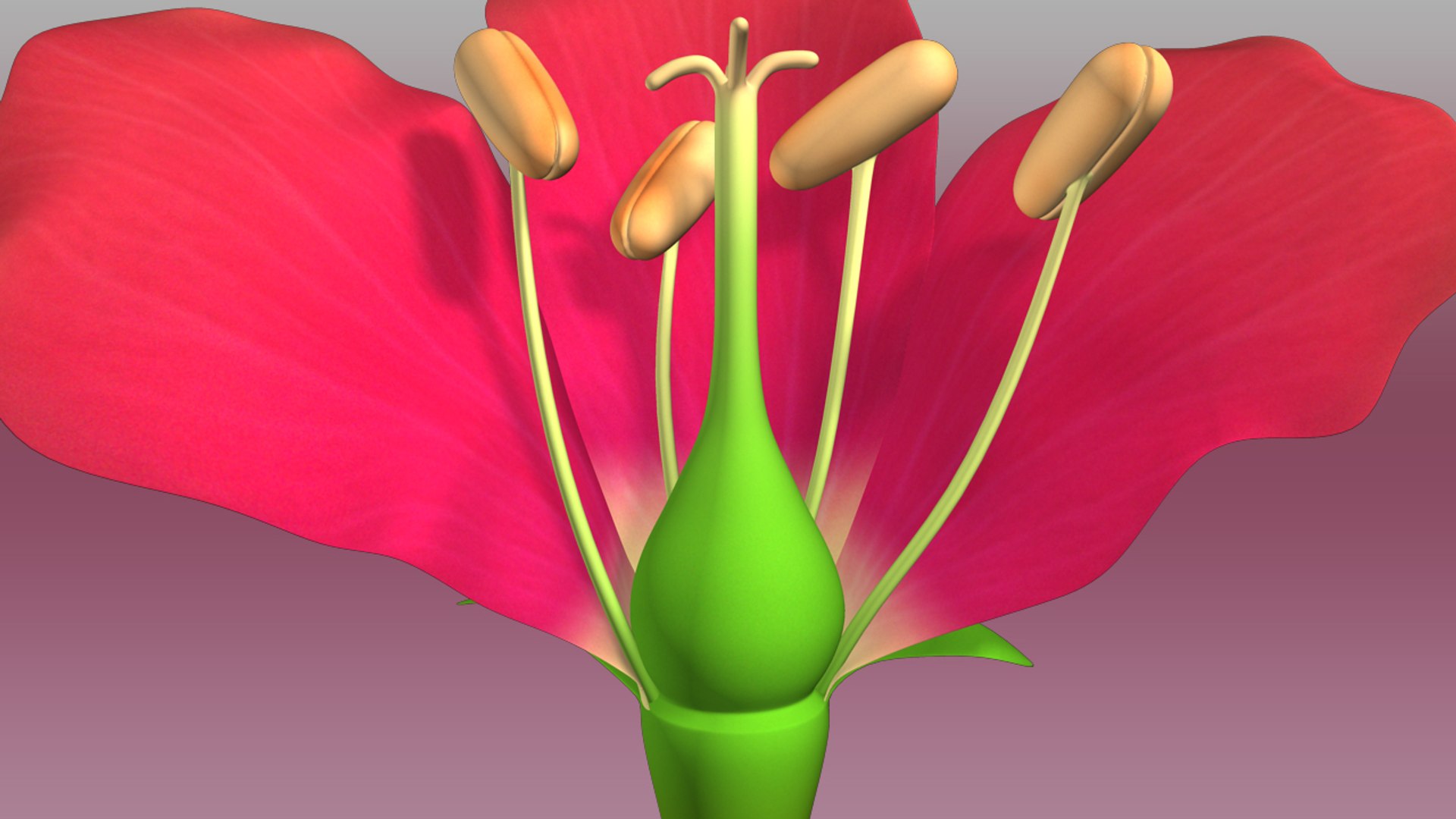flower biological 3d obj