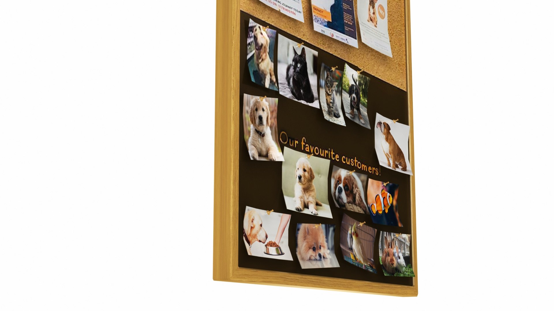 3D model Mega Pet Shop Shelves Collection https://p.turbosquid.com/ts-thumb/PQ/sp3R8o/HX/petshopcommunityboard3/jpg/1633748674/1920x1080/fit_q87/252284f93c79d488b7a56f7bf44b33c8035e1eca/petshopcommunityboard3.jpg