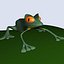 frog