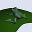 frog