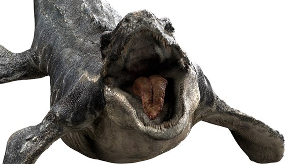modelo 3d Mosa saurus (Rigged) - TurboSquid 1410286