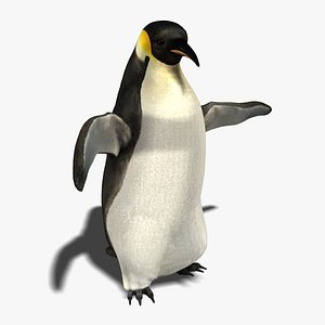 3d ma penguin fur animation