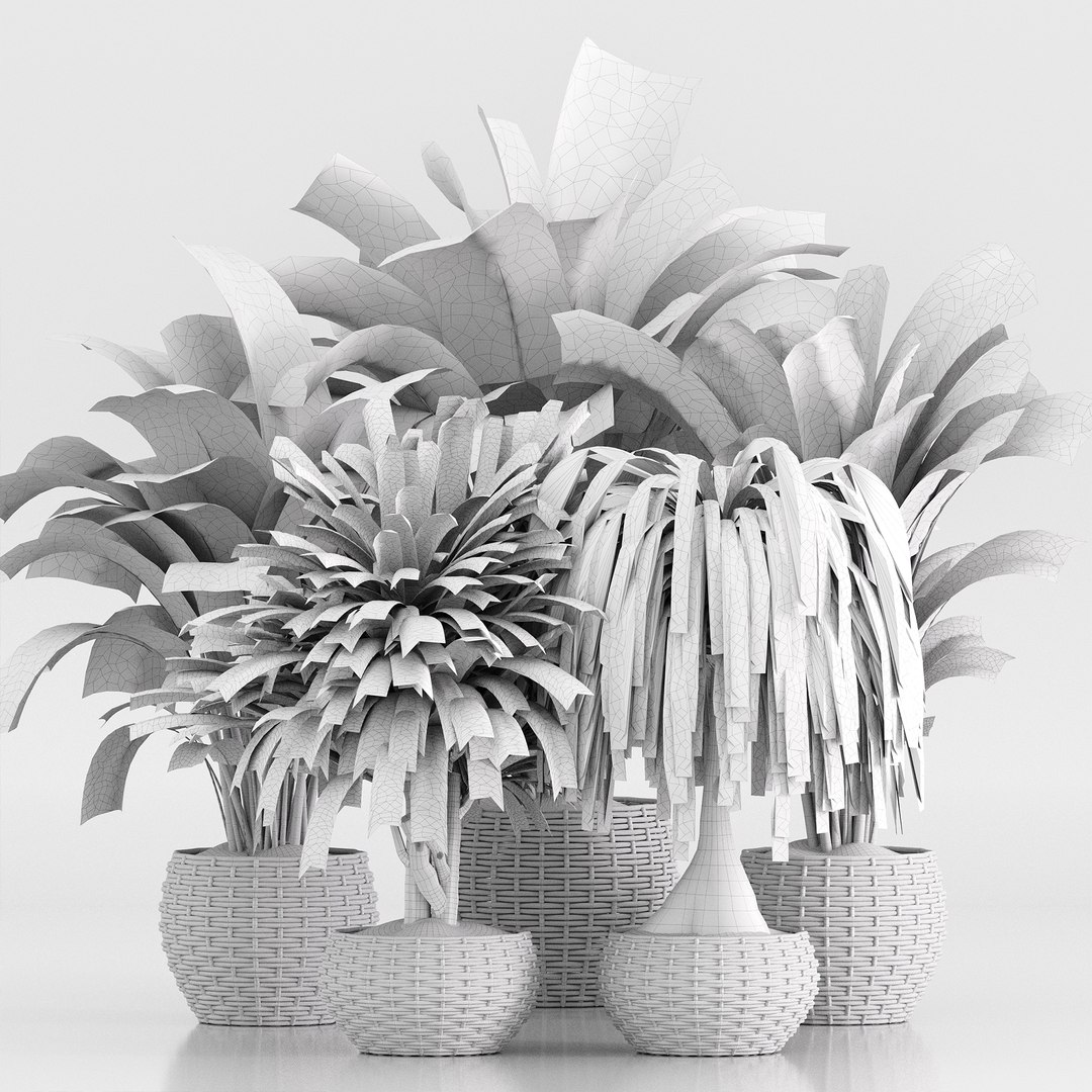 3D indoor Plant Set 020 https://p.turbosquid.com/ts-thumb/PR/FJOdEk/Sc/7/jpg/1686638992/1920x1080/fit_q87/eba807212669de10999cd109517d1aaafa703300/7.jpg