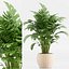 indoor Plant Set 020
