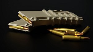 Magazine PMAG + Bullet