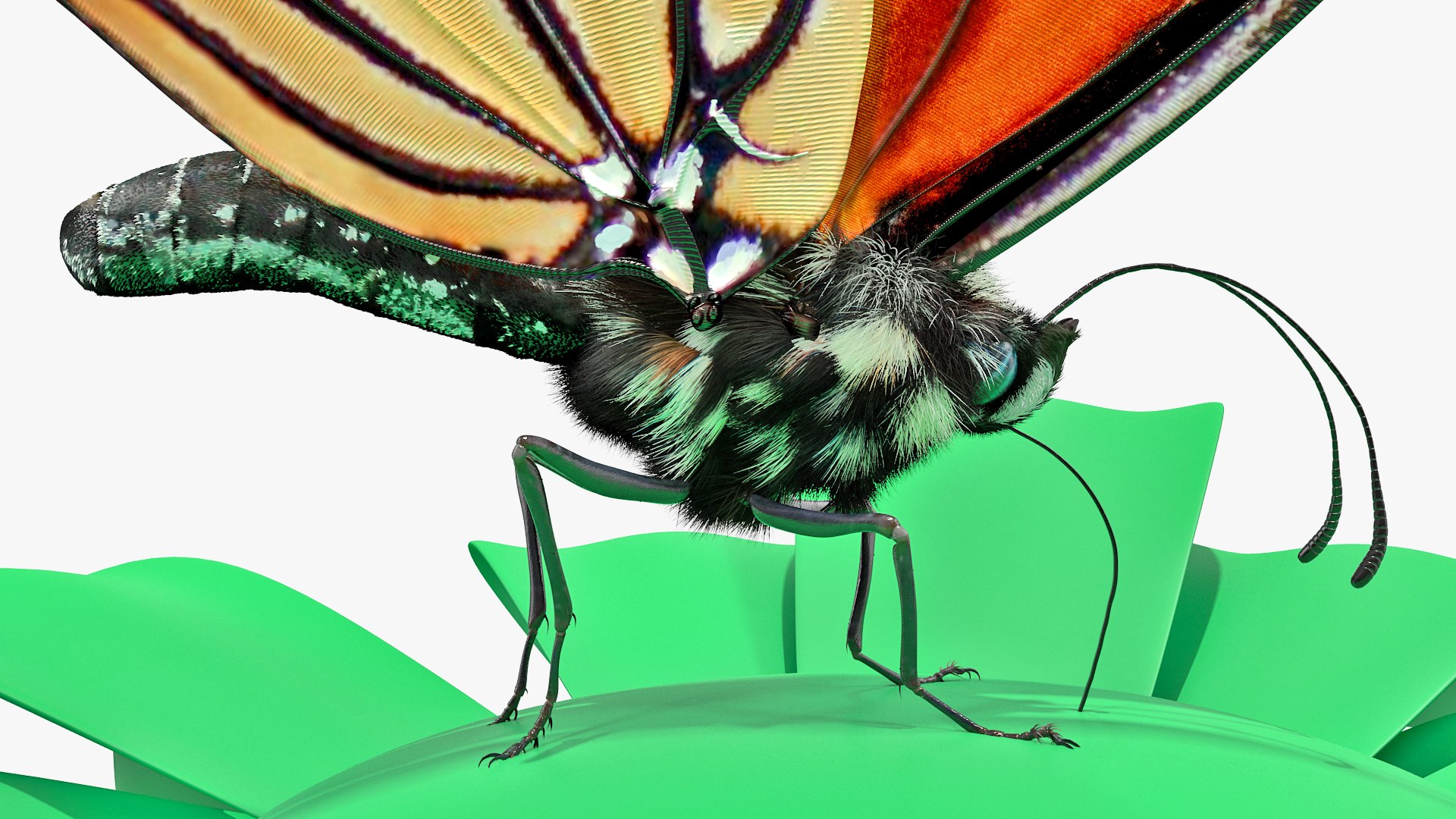 3D Monarch Butterfly Sits Swinging TurboSquid 1469116