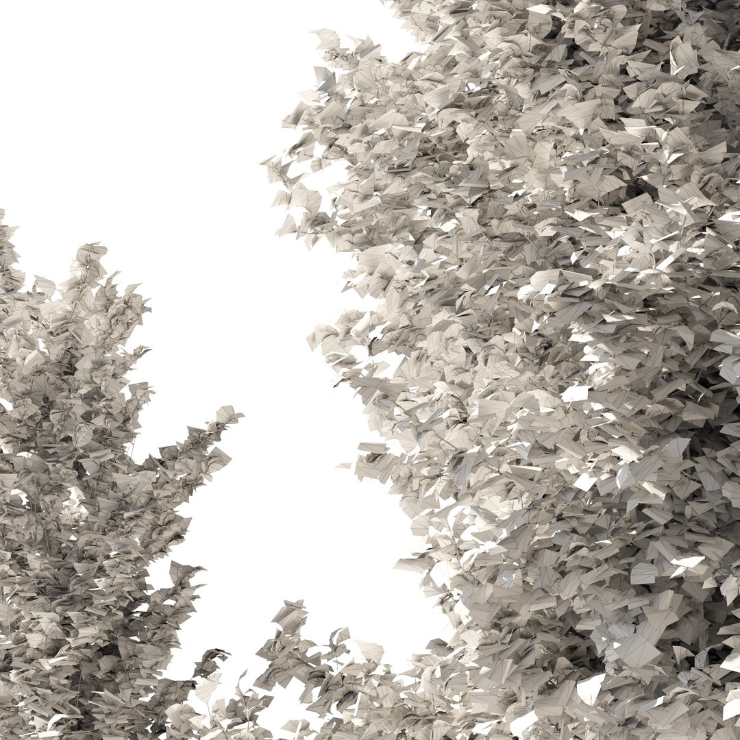 ginkgo lemonlime spire trees model https://p.turbosquid.com/ts-thumb/PR/Mn4lF6/6W/ginkgo_lemon_3/jpg/1607939896/1920x1080/fit_q87/1bdb0d06090b022c44d03cb2c1fd27dc807f86d0/ginkgo_lemon_3.jpg