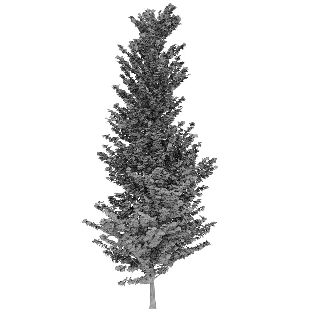 ginkgo lemonlime spire trees model https://p.turbosquid.com/ts-thumb/PR/Mn4lF6/Fh/ginkgo_lemon_max2020_p2/jpg/1609932178/1920x1080/fit_q87/4875fae2b83b963d726a454b71535d78e4767614/ginkgo_lemon_max2020_p2.jpg