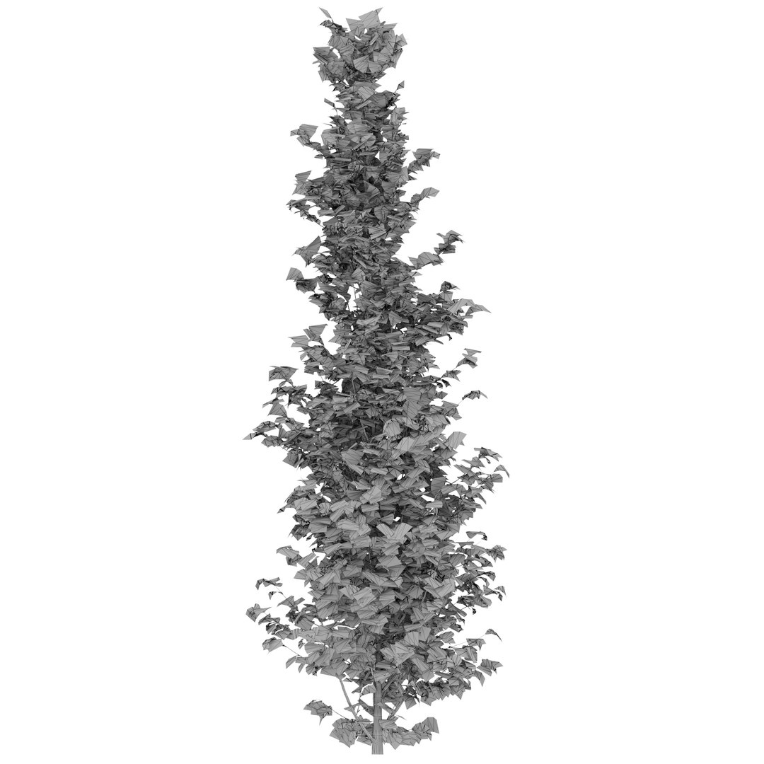 ginkgo lemonlime spire trees model https://p.turbosquid.com/ts-thumb/PR/Mn4lF6/VN/ginkgo_lemon_max2020_p3/jpg/1609932178/1920x1080/fit_q87/62e0b54b2859a1532bf546664056901fd02ca5bd/ginkgo_lemon_max2020_p3.jpg