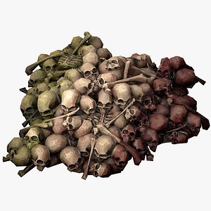 Pile of Bones and Skulls Cemetery Dungeon Environment