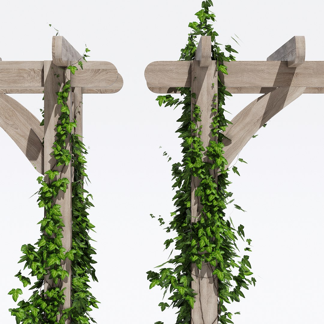 3D Garden Arches Model - TurboSquid 1269989