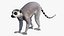 Lemur
