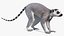 Lemur