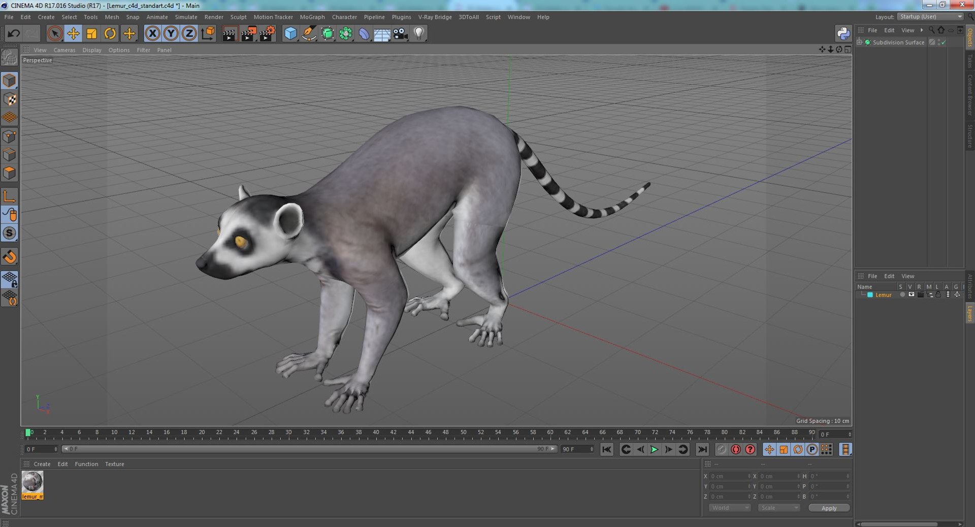 3D Lemur https://p.turbosquid.com/ts-thumb/PR/tS59oG/B5/lemurvray3dmodel021/jpg/1709337250/1920x1080/fit_q87/6b435021591960562c86473982a63a7336f1f26b/lemurvray3dmodel021.jpg
