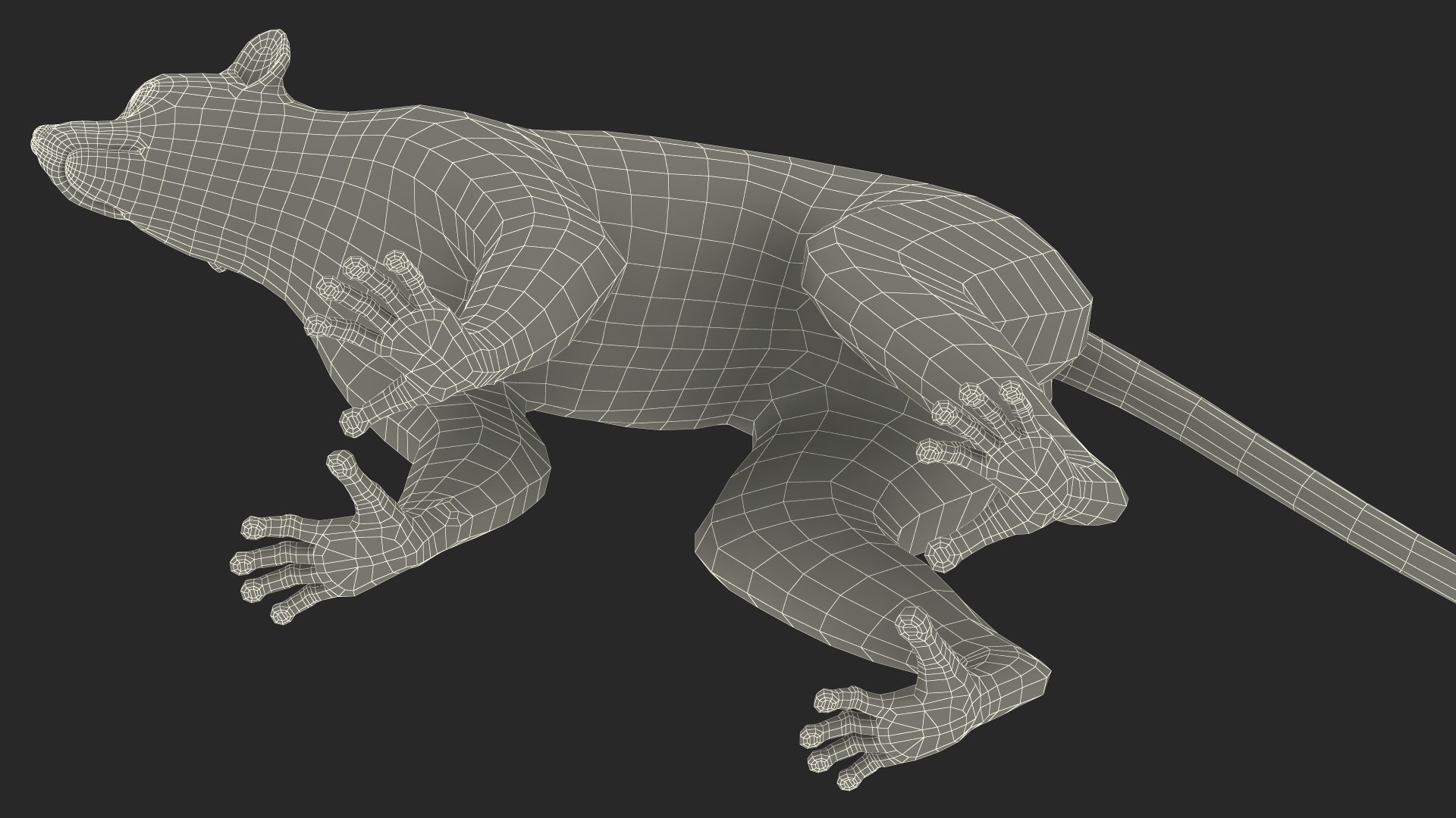 3D Lemur https://p.turbosquid.com/ts-thumb/PR/tS59oG/Ft/lemurvray3dmodel026/jpg/1709337268/1920x1080/fit_q87/865da6342ebb03d8542aacaf8e1c84194d850d0f/lemurvray3dmodel026.jpg