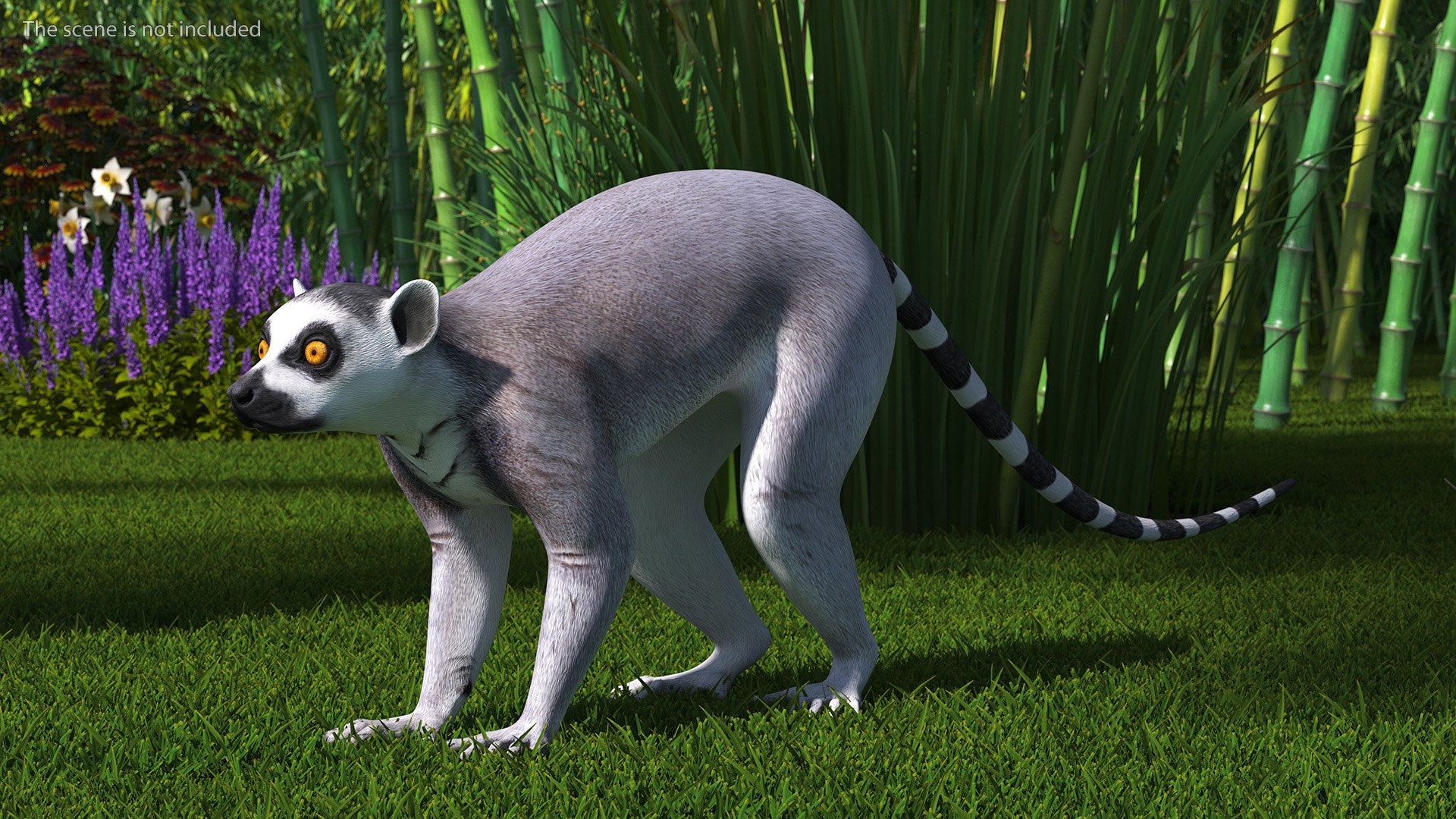 3D Lemur https://p.turbosquid.com/ts-thumb/PR/tS59oG/Qt/lemurvray3dmodel002/jpg/1709337172/1920x1080/fit_q87/aafd0e9c53d9f7556397c227710fd3f865637ccf/lemurvray3dmodel002.jpg