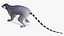 Lemur