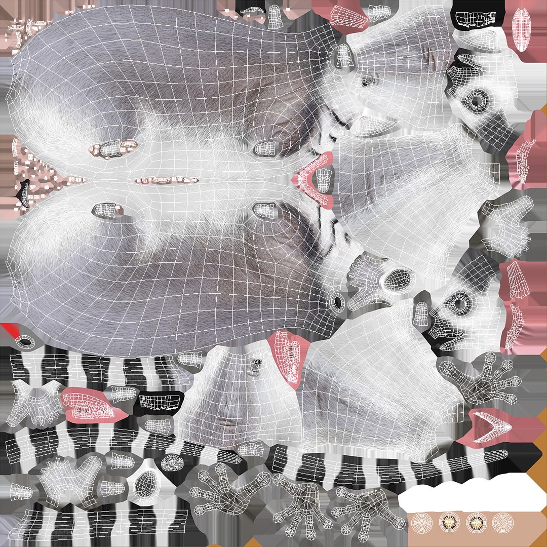 3D Lemur https://p.turbosquid.com/ts-thumb/PR/tS59oG/YS/lemurvray3dmodel016/jpg/1709337230/1920x1080/fit_q87/0bf2af5261d76307150fdd4f00202a6b170b960a/lemurvray3dmodel016.jpg