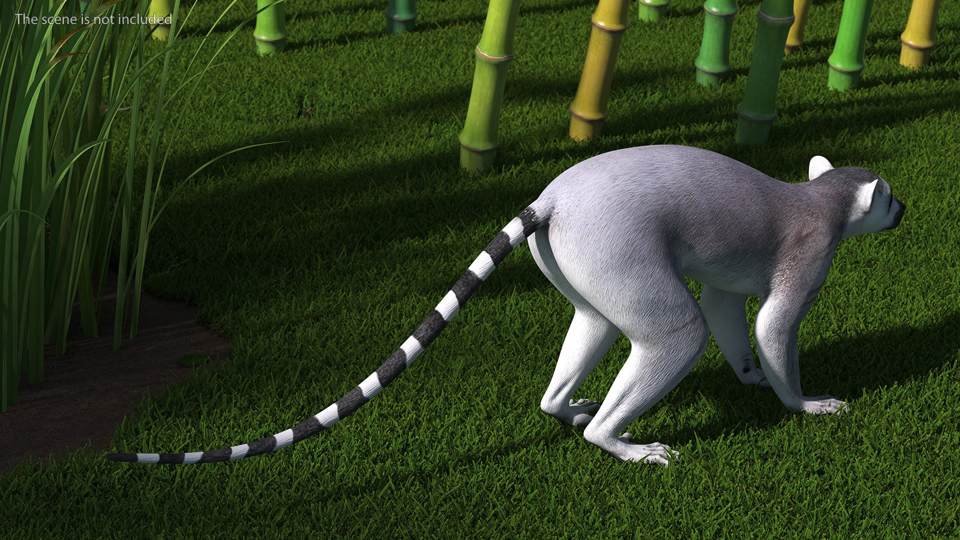 3D Lemur https://p.turbosquid.com/ts-thumb/PR/tS59oG/lh/lemurvray3dmodel004/jpg/1709337182/1920x1080/fit_q87/390136283e1f619a58959b898fa1cc8465b9a8ec/lemurvray3dmodel004.jpg