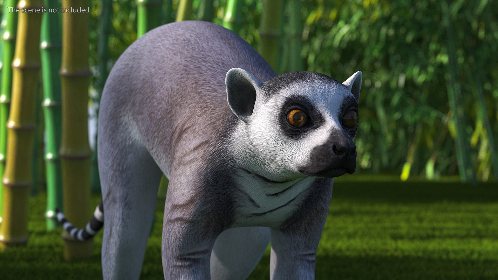 3D Lemur https://p.turbosquid.com/ts-thumb/PR/tS59oG/sA/lemurvray3dmodel005/jpg/1709337186/1920x1080/fit_q87/d5efea870898db18907a34c0a94e130b04d59026/lemurvray3dmodel005.jpg