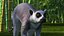 Lemur