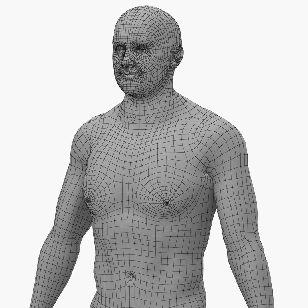 3D model Respiratory System Rigged and Animated https://p.turbosquid.com/ts-thumb/PS/CH4dXW/29/body01/jpg/1749654984/1920x1080/fit_q87/80d91ed828caf75271f536f0fe2653d75e21d7df/body01.jpg