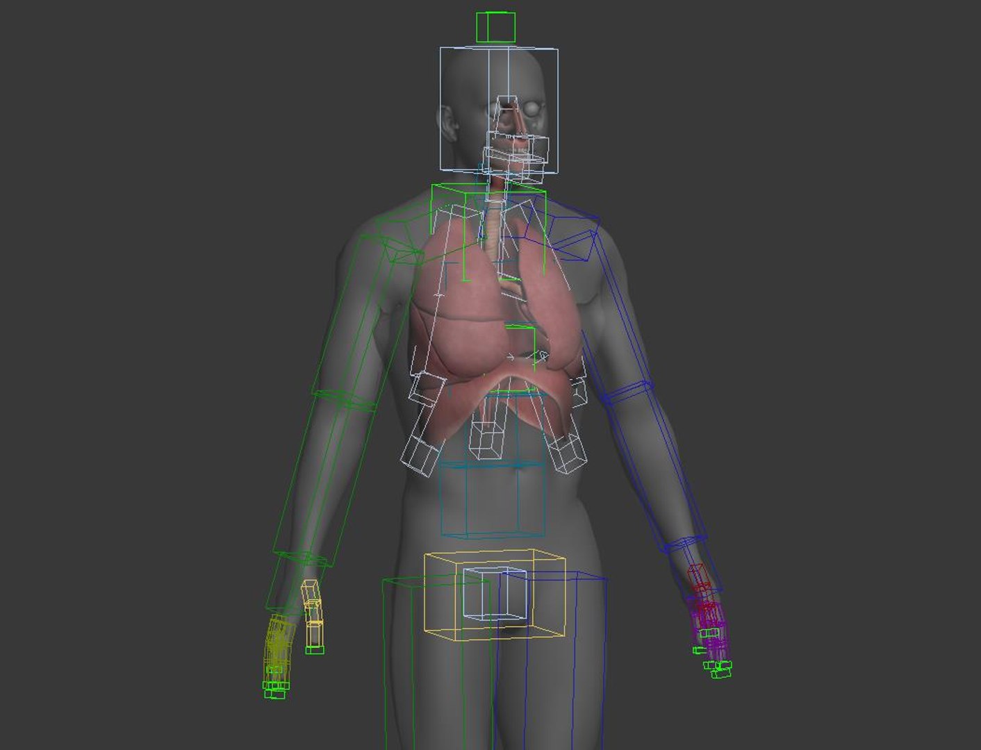 3D model Respiratory System Rigged and Animated https://p.turbosquid.com/ts-thumb/PS/CH4dXW/zL/rigsystem/jpg/1749657882/1920x1080/fit_q87/f1a64103833017a7a09c2c0c26041626178ce499/rigsystem.jpg